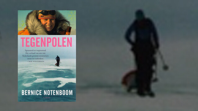 Override of the title Bernice Notenboom