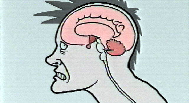 Override of the title Noorderlicht - stress