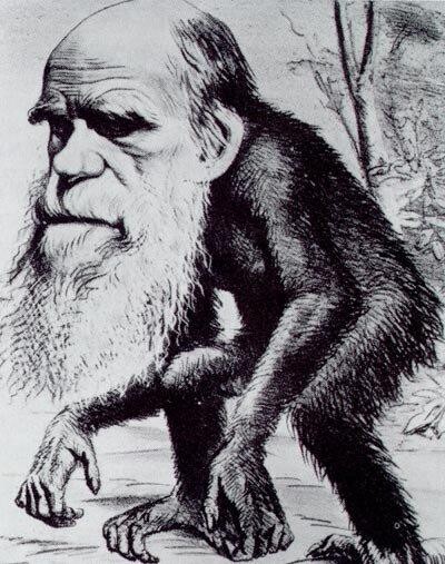 darwin karikatuur