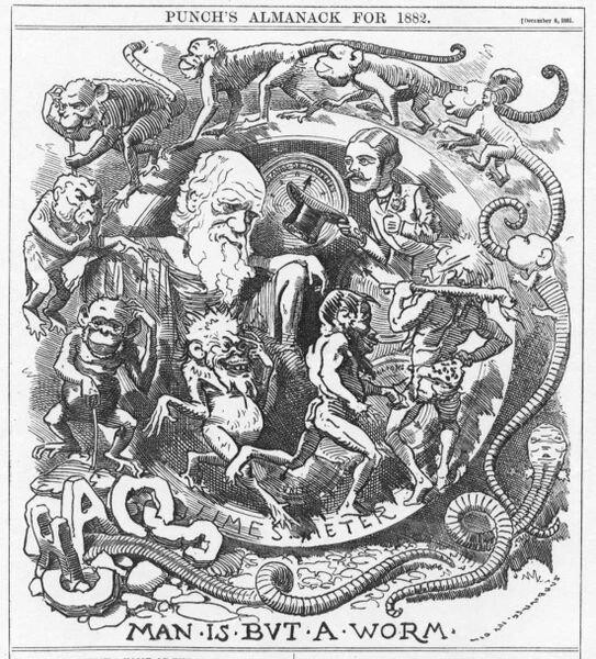 Darwin tekening punch