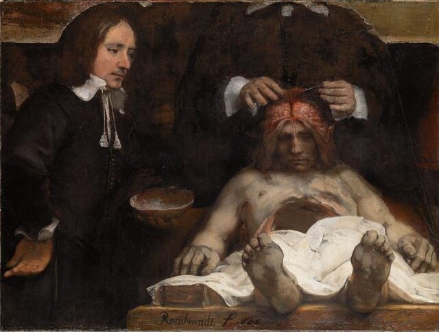 Override of the title anatomische les