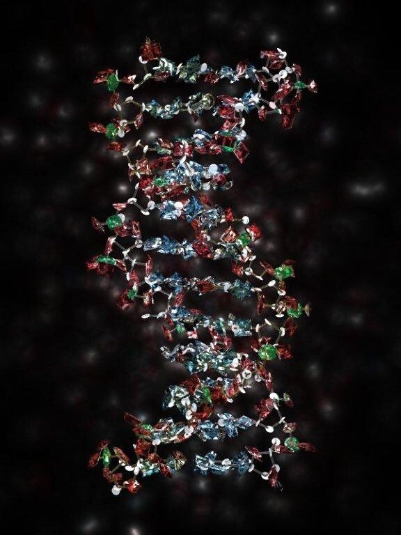 DNA