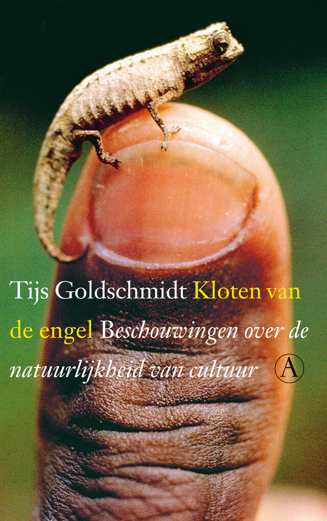 Override of the title Omslag Kloten van de Engel