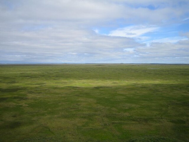 Siberisch landschap