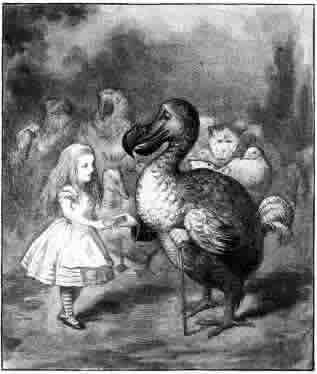 Dodo