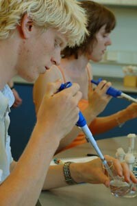 Override of the title pipetteren