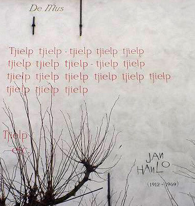 Override of the title Noorderlicht mus