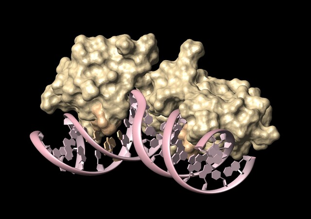 Override of the title Moleculaire herkenning