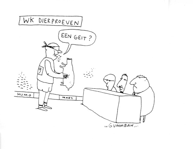 Noorderlicht