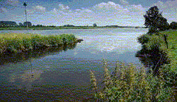 Override of the title De Maas