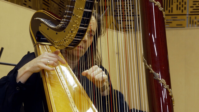 Harpist