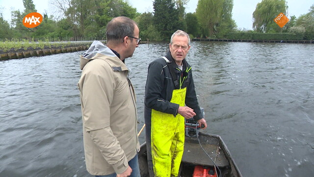 Noord-Zuid-Oost-West