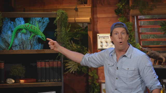 Freeks Jungle School - 10