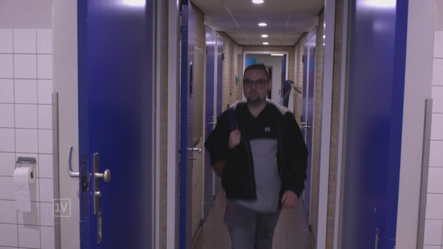 zwemmen met dolfijnen via vr-bril