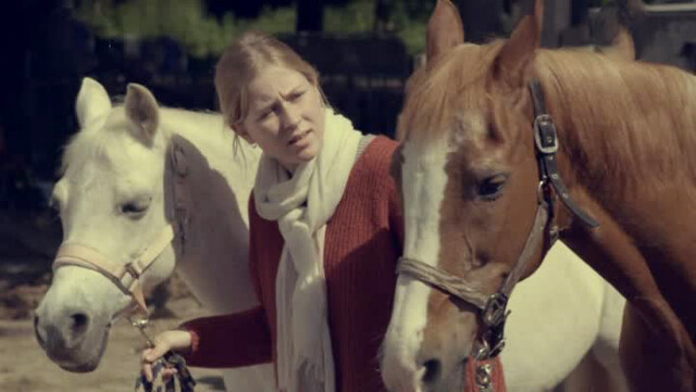 De Vloek van Manege Pegasus