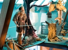 Tentoonstelling "Oer": Nieuw Land Erfgoed Centrum - Lelystad