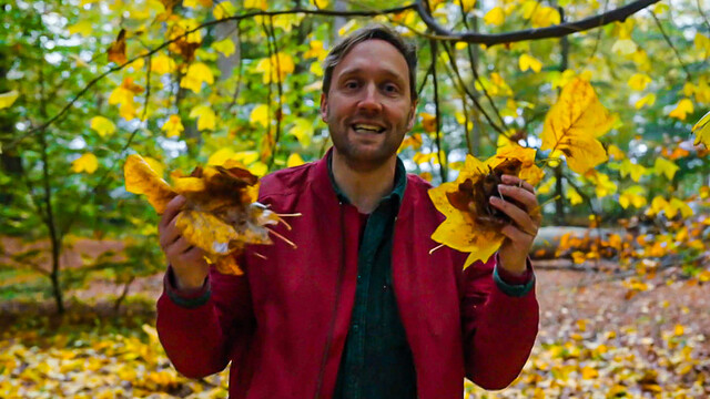 Herfstbladeren