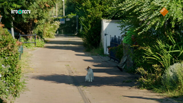 Override of the title BinnensteBuiten