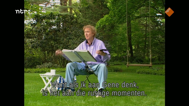Override of the title Het Uur van de Wolf