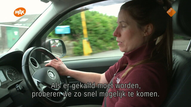 De dierenarts van Yorkshire