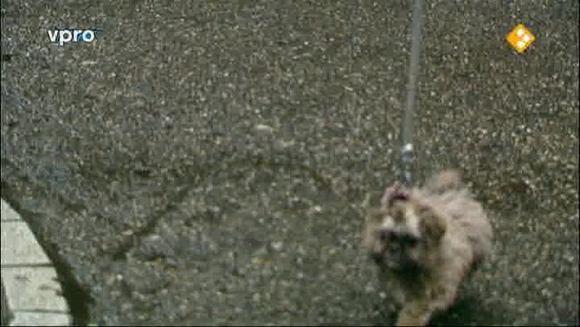 3Doc: Alles wat we wilden