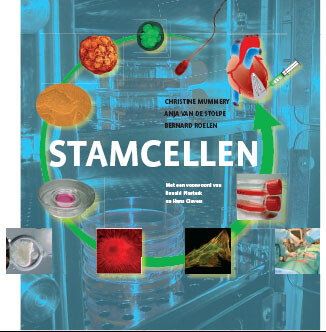 Override of the title Stamcellen Kaft
