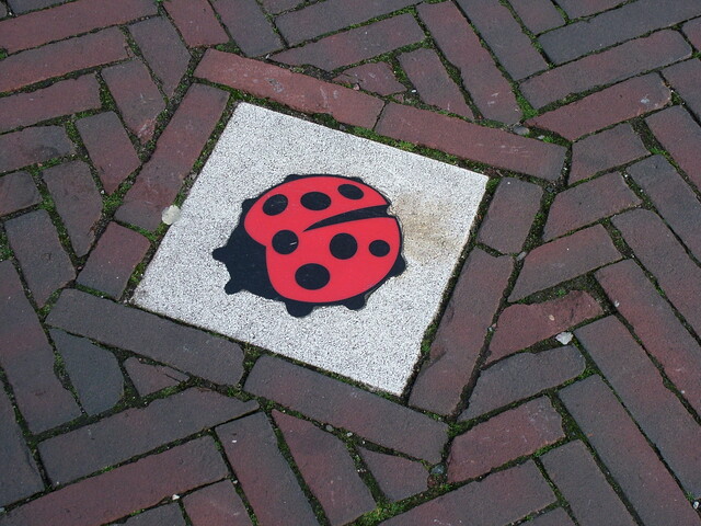 Geweld op school