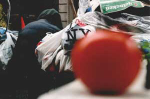 De tomaat en de Big Apple
